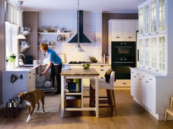 RX-IKEA_PE251266-kitchen-with-dog